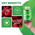 thumbnail image 4 of Vitamatic Irish Sea Moss Gummies - 3000 mg - 60 Vegan Gummies - Made with Bladderwrack & Burdock Root - Seamoss Supplement for Thyroid, Energy, Immune Support, 4 of 12
