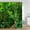 7431AL, variant on Tropical Jungle Landscape Shower Curtain Forest Palm Trees Vines Plant Waterfall Rainforest Scenery Bathroom Curtains Home Decor