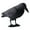 Crow, variant on Plastic Magpie Decoys Realistic Full Body Life Size Shooting Pest Larsen Trap-Flying Black crow