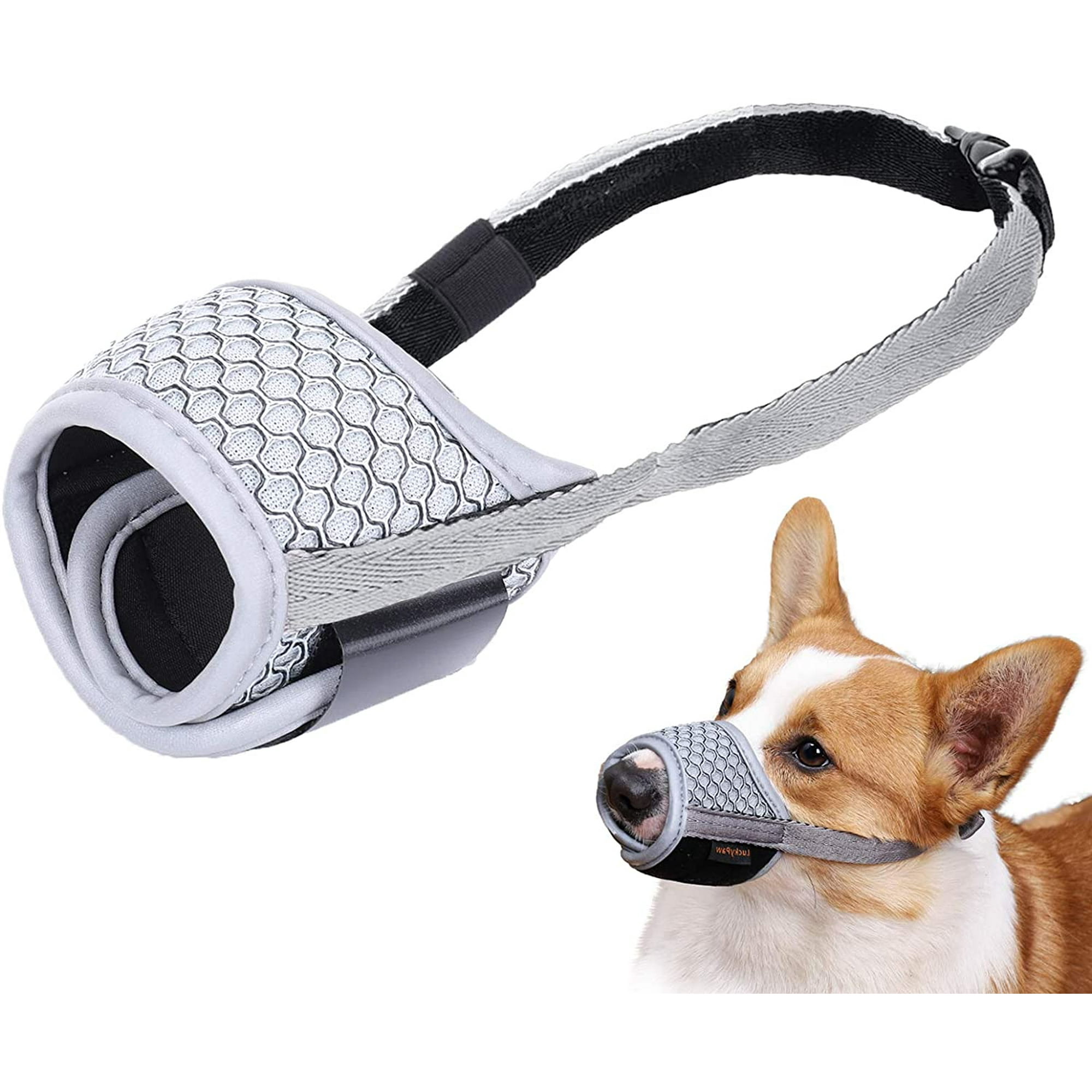 Can A Dog Muzzle Stop Barking