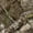 Realtree APX, variant on Realtree Excape Men's Chill Cutter Softshell Hunting Jacket, Sizes S-3XL