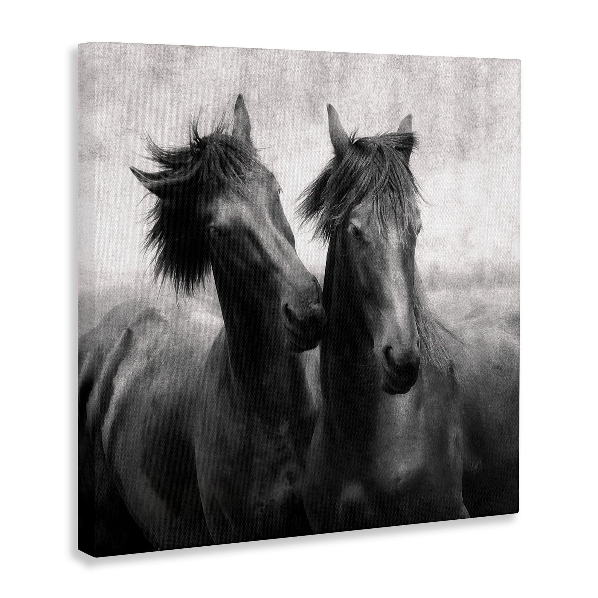 Stupell Industries Short Haired Horse Pair Canvas Wall Art, design by Lars Van de Goor