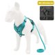 thumbnail image 1 of Greeniant Pet Harness Set Professional Breathable Reflective Walking Towing Accessories Vest Accessory Rope Outdoor Ropes Dog Leash Suministros para perros No.13 Greeniant PT002524-13, 1 of 6