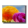 thumbnail image 1 of Epic Graffiti 'Ranunculus In Orange And Pink' by Pamela Plummer, Canvas Wall Art, 54"x40", 1 of 1