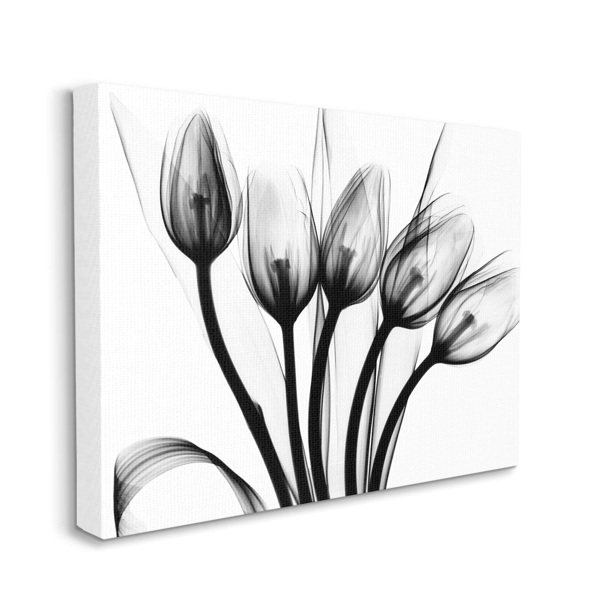 Stupell Industries Modern Tulip Blossom Abstract Monochrome Silhouette Photography Gallery-Wrapped Canvas Print Wall Art, 48x36, by Albert Koetsier