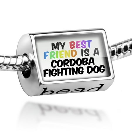 Bead My best Friend a Cordoba Fighting Dog from Argentina Charm Fits All European (Best Type Of Fighting Style)