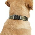 thumbnail image 5 of Mammoth Adjustable Camo Print Waterproof Fashion Dog Collar, Brown, Medium, 5 of 9