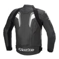 thumbnail image 2 of Alpinestars GP Plus R V3 Airflow Mens Motorcycle Jacket Black/Gray 58 EUR, 2 of 2