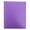 as the picture shows, variant on Colored File Folders with Pockets and Prong with Fasteners, 2 Pocket Folder, 3 Prong Folders, Heavy Duty Plastic Poly Two-Pocket Folder for Letter Size Paper, Three-Hole Punch Prong Fasteners Folder