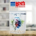 Lee's Betta Keeper Hex Aquarium Kit 2Pack