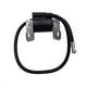 thumbnail image 1 of Paquete de alto voltaje de bobina de encendido para Briggs Stratton 395492 395326 398811 398265, 1 of 5