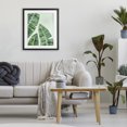thumbnail image 2 of Stupell Industries Banana Leaf Tropics Black Framed Print Under Glass, design by Camila Juncos, 21 x 17, 2 of 10