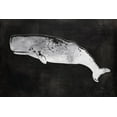 thumbnail image 2 of Lavoie, Tina 14x11 White Modern Wood Framed Museum Art Print Titled - Sperm Whale, 2 of 4