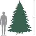 thumbnail image 4 of Northlight 9' Prelit Artificial Christmas Tree Slim Pine - Clear Lights, 4 of 4