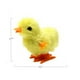 thumbnail image 2 of Juguete de peluche Wind-Up Jumping con forma de pollo, 3 nutrias, 12 unidades, 2 of 6