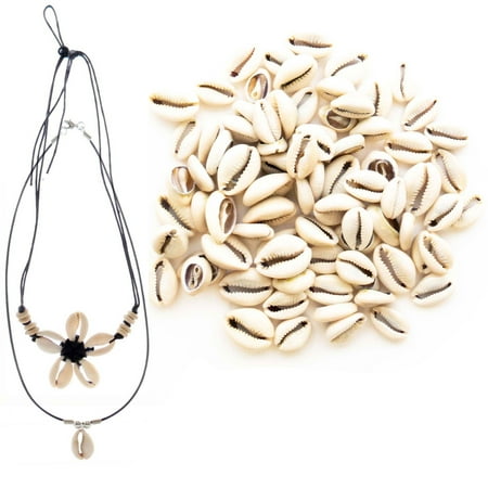 Framed Oval Necklace 150 PCs Cowrie Shells for Jewelry Making and Home Décor Plus 2 Free Necklaces - Smooth Cut Oval Ocean Beach Spiral Sea Shells ()