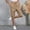 Khaki, variant on Maean Women's Capri Pants Quick Dry Joggers Capris Pant Drawstring Elastic Waist Loose Trousers with Pockets