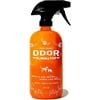 Pet Odor Eliminator for Strong Odor - Pack of 1 Citrus Deodorizer for Dog or Cat Urine Smells on Carpet, Furniture & Floors - 24 Fluid Ounces - Puppy Supplies