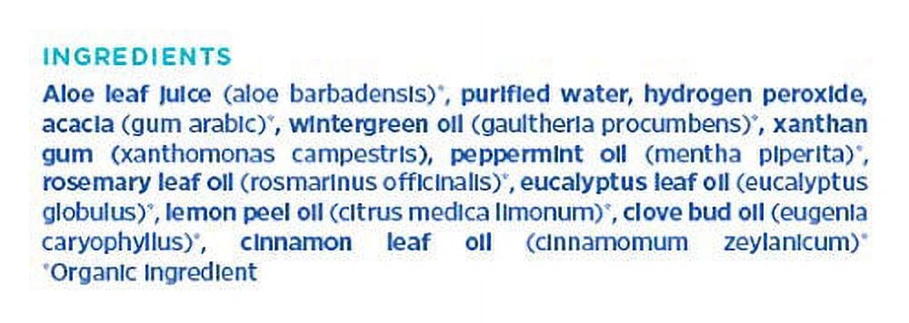 Essential Oxygen - Mouthwash Wintergreen - 1 Each-32 Fz