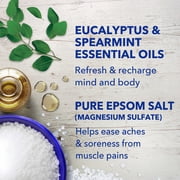 Dr Teals Epsom Salt Magnesium Soak, Relax & Relief with Eucalyptus & Spearmint, 3 lbs