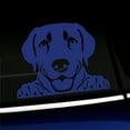 thumbnail image 1 of Peeking Labrador Retriever - Vinyl Car Decal - Choose Color - [KING BLUE], 1 of 1
