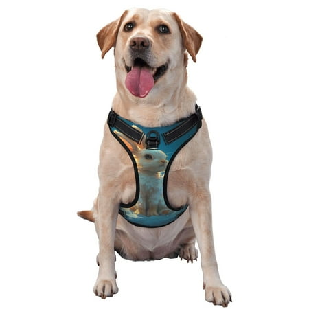 Bingfone Cute Angel Winged Rabbit No Pull Dog Vest Harness for Small Medium Large Dogs Strap for Puppy Walking Training Dog Harness-Large