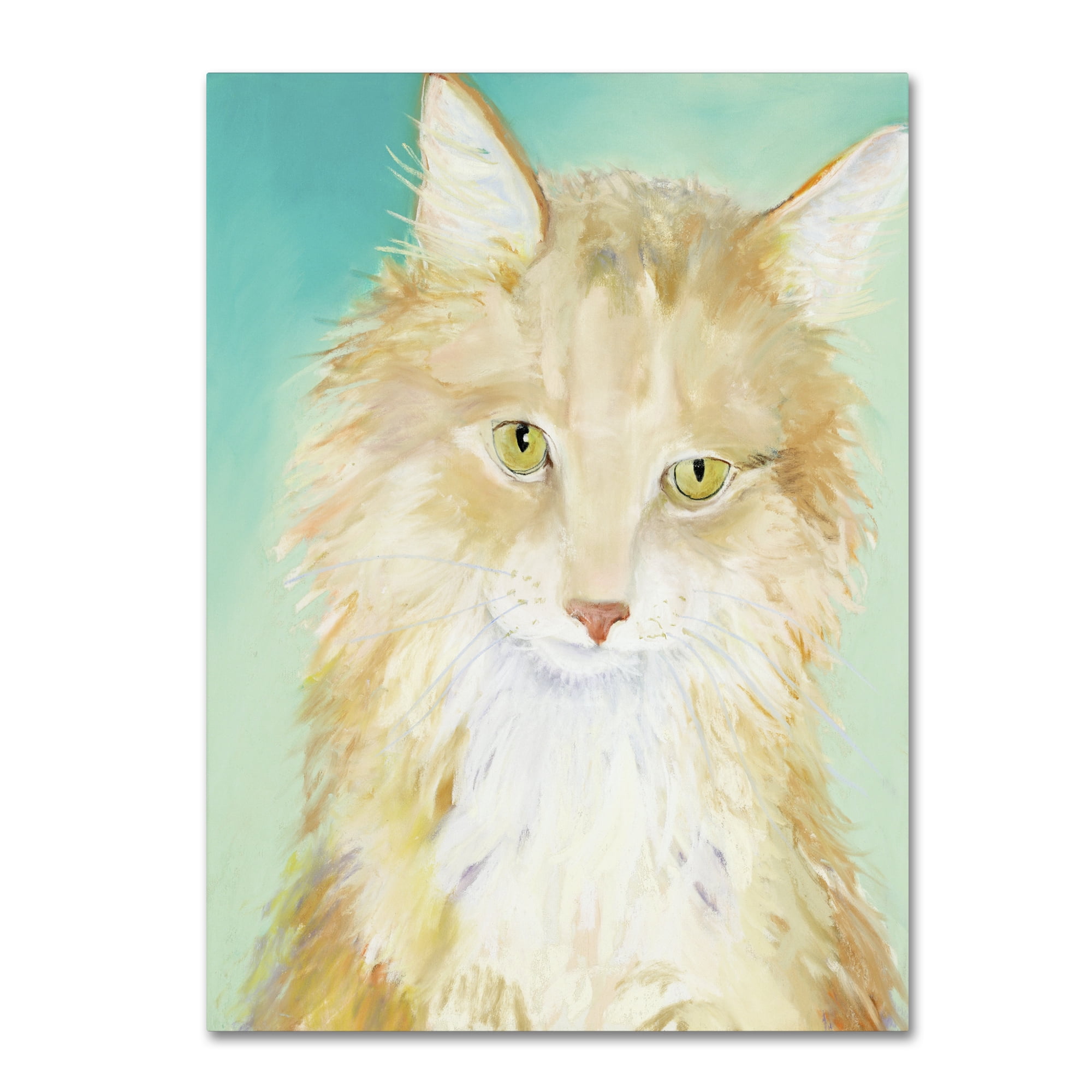 Trademark Fine Art "Willard" Canvas Art by Pat Saunders-White