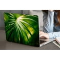 thumbnail image 5 of KSK KAISHEK Hard Shell Case for MacBook Pro 16 inchs with XDR Display & Touch ID Type C + Black Keyboard Cover Model: A2141 (Plants series 0606), 5 of 5