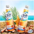 thumbnail image 3 of Pack de 12 Licor Caribe Cooler Durazno 300 ml Caribe Cooler Durazno, 3 of 3