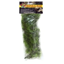 Zoo Med Naturalistic Flora Cashuarina Terrarium Plant [Decor, Reptile Supplies] Medium - 1 count