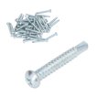 thumbnail image 2 of Self Drilling Screw, Galvanized Screws Fastener Carbon Steel Wide Application 50Pcs  For Repair Flat Head,Round Head, 2 of 8