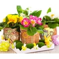 thumbnail image 2 of STPGoods Succulent Planter Wicker Fence Ceramic Planter 5.9'' (15 cm) Flower Pot Planter Kitchen Plant Pot, 2 of 7