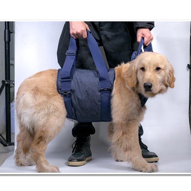 El arnés de soporte de las correas ajustables de la elevación del cabestrillo canino del perro a rehabilitar el arnés - Azul, METRO Yinane Arnés para perros