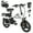 White, variant on Inlife 14" Folding Electric Bike 10AH Battery Ebike 750W Electric Folding Bicycle 25 Miles Range 20 Miles Max Speed