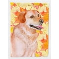 thumbnail image 1 of Carolines Treasures BB9975GF Labrador Retriever Drapeau d'Automne - Taille Jardin, 1 of 3