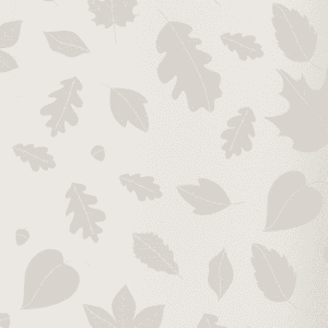 Falling Leaves on Cream