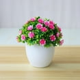 thumbnail image 4 of SPRING PARK Artificial Flower Bonsai Grass Ball Potted Plant Home Room Wedding Decor, 4 of 7