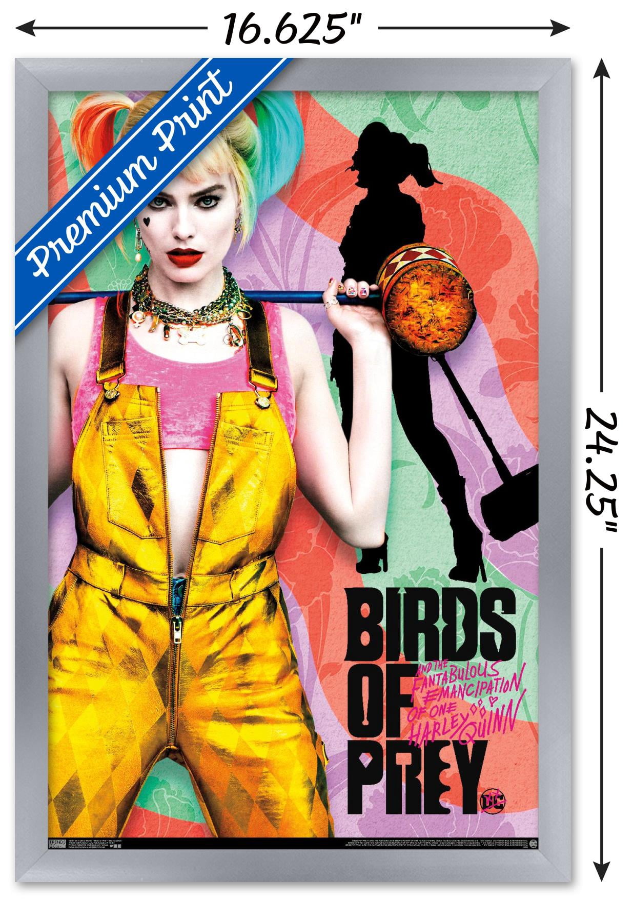 DC Comics Movie - Birds of Prey - Emancipation Wall Poster, 14.725" x 22.375", Framed