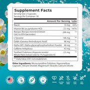 Ageless Brain Memory Supplements for Adults, Nootropic Brain Supplement, Brain Health Supplements for Adults with Vitamin B6, Alpha GPC, Bacopa Monnieri by PureHealth Research