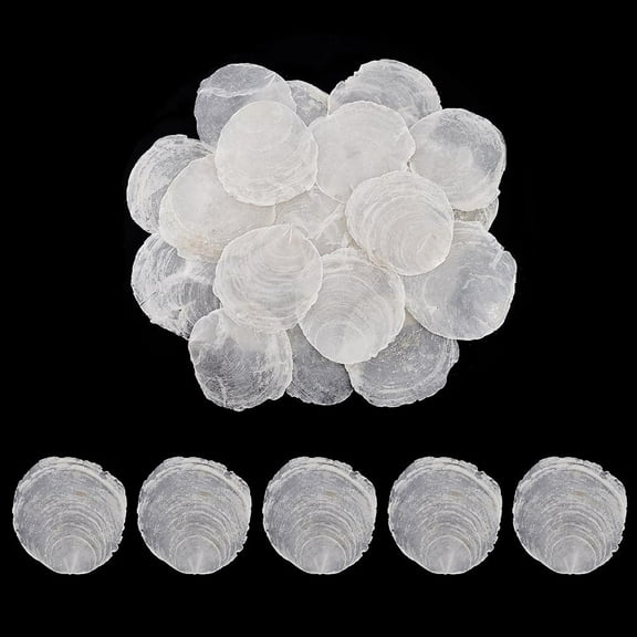 100pcs Undrilled Capiz Shells 2~3.5 inch Large Shells Natural Capiz Sea Shell NO Hole White Shell Pieces