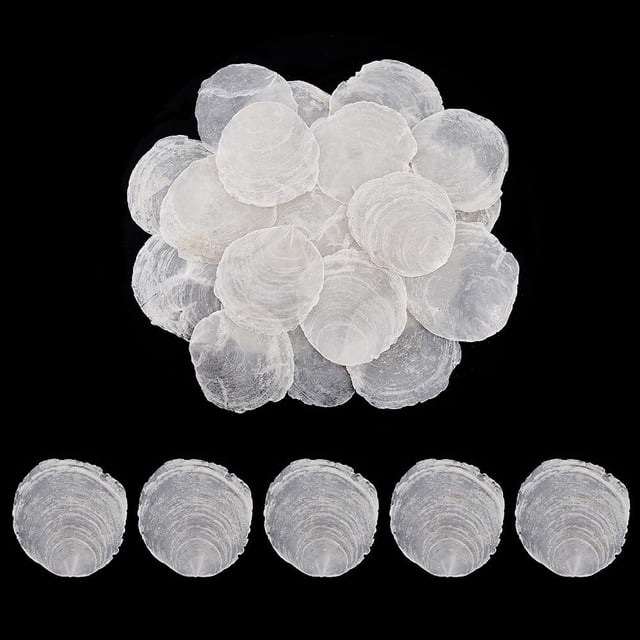 100 piezas de conchas capiz sin perforar de 2 a 3,5 pulgadas, vista cenital de un montón apilado y cinco discos alineados; discos redondos blancos translúcidos, planos con bordes estriados y superficie pulida que refleja la luz, diámetro 5–9 cm, ideal para bisutería, cortinas de concha, móviles y decoración de bodas o eventos.