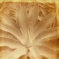 thumbnail image 2 of Johnson, Jason 20x20 White Modern Wood Framed Museum Art Print Titled - Halia Aloha III, 2 of 4