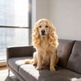 thumbnail image 4 of Pet Wig For Halloween Costume And Photos, Funny Dog Wig With Adjustable Band, Cat And Dog Hairpiece For Halloween Parties And Holidays,Blonde - 35Cm, 4 of 4