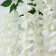 thumbnail image 5 of Zhuge Paquete de 24 (86,6 pies) de glicinas artificiales de ratán, guirnalda colgante de glicina falsa, flores de arbusto largas de seda (nuevas, blancas, 24 piezas), 5 of 5
