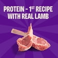 thumbnail image 3 of Wellness CORE Tiny Trainers Dog Treats, Natural, Grain Free, Lamb and Apple Recipe, 6 oz Bag, 3 of 7
