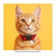 thumbnail image 3 of Collar para perro BACHAKO 1 pieza, 3 of 4