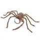 thumbnail image 1 of Pet Halloween Transformation Dress Black Spider Pet Decoration Ghost Festival Large, Medium, Small Dogs, Cats Funny Clothes (Brown), 1 of 3