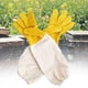 thumbnail image 4 of Guantes de apicultura de piel sintética, gruesos, profesionales, con puños elásticos, apicultor Amarillo Sunnimix Guantes de apicultura, 4 of 6