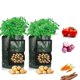 thumbnail image 5 of Bolsa de plantación de patatas PE redonda para ventana de jardín, barril de plantación de patatas y tomates, 5 of 6
