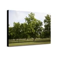 thumbnail image 1 of Canvas Print: Beautiful Communities And Rural Scenes In Baldwin County, Alabama, 1 of 3